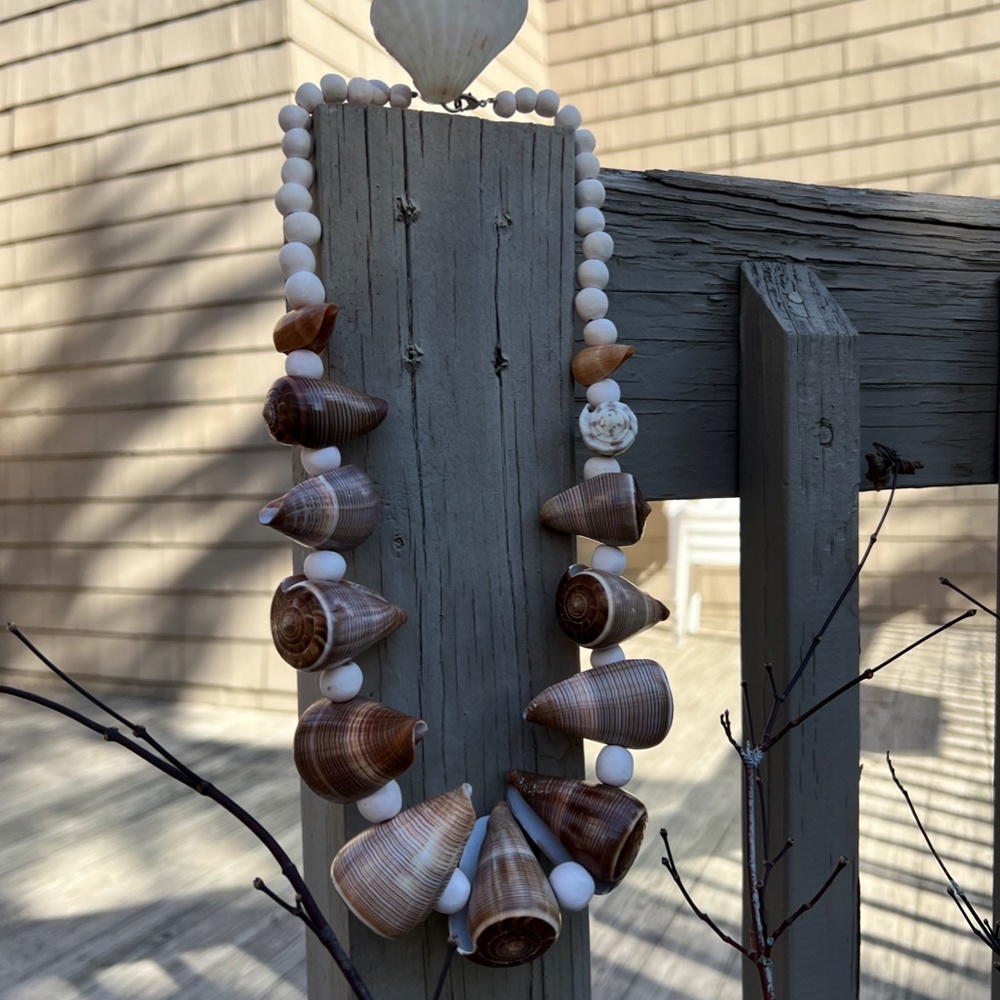 Shell Necklace - Picture 4 of 4